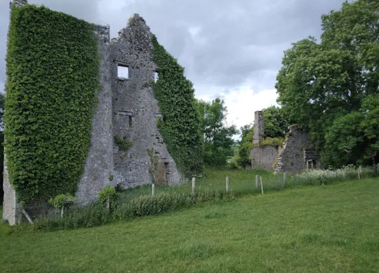 Dromaneen Castle, Ireland